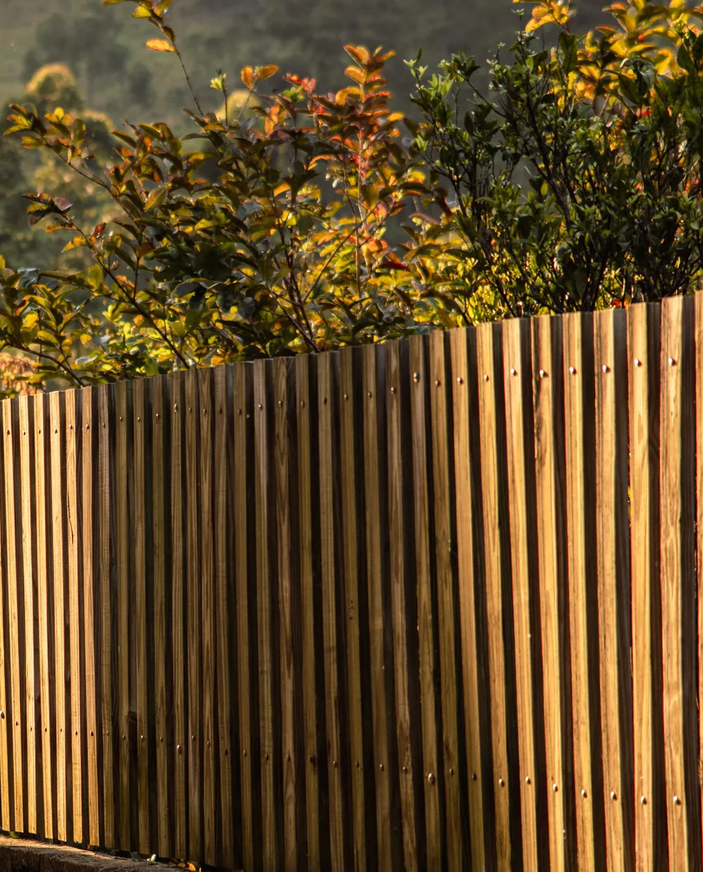 A newly built wooden board fence glowing in late-afternoon sun, trees behind it